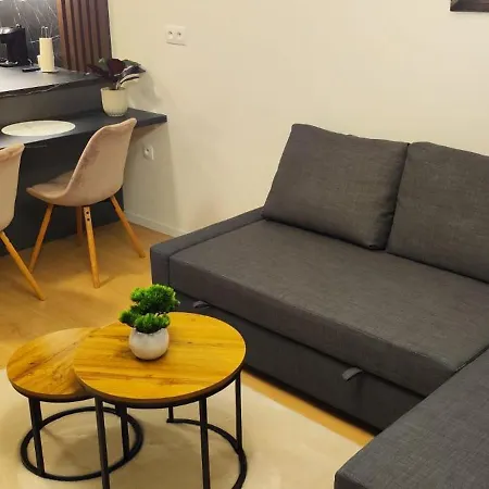 Apartment New With Free Garage Parking Near The Airport *