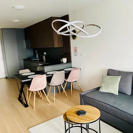 New With Free Garage Parking Near The Airport ברטיסלאבה